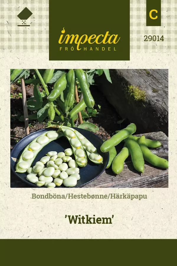 Härkäpapu 'Witkien', siemen - Vihannesten siemenet - 7332756290149 - 1