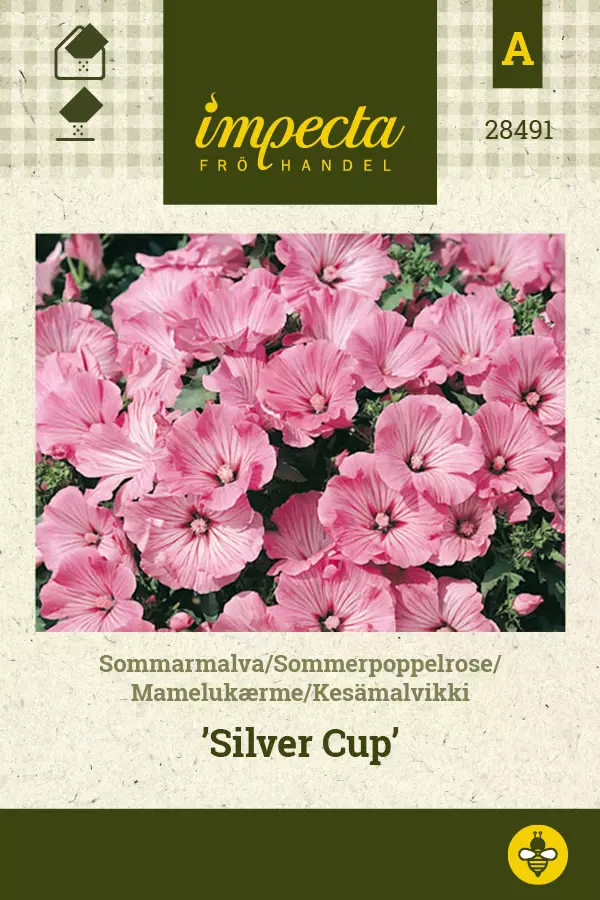 Kesämalvikki 'Silver Cup', siemen, Impecta - Annossiemenet - 7332756284919 - 1