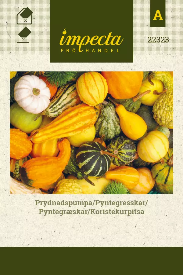 Koristekurpitsa, siemen, Impecta - Annossiemenet - 7332756223239 - 1