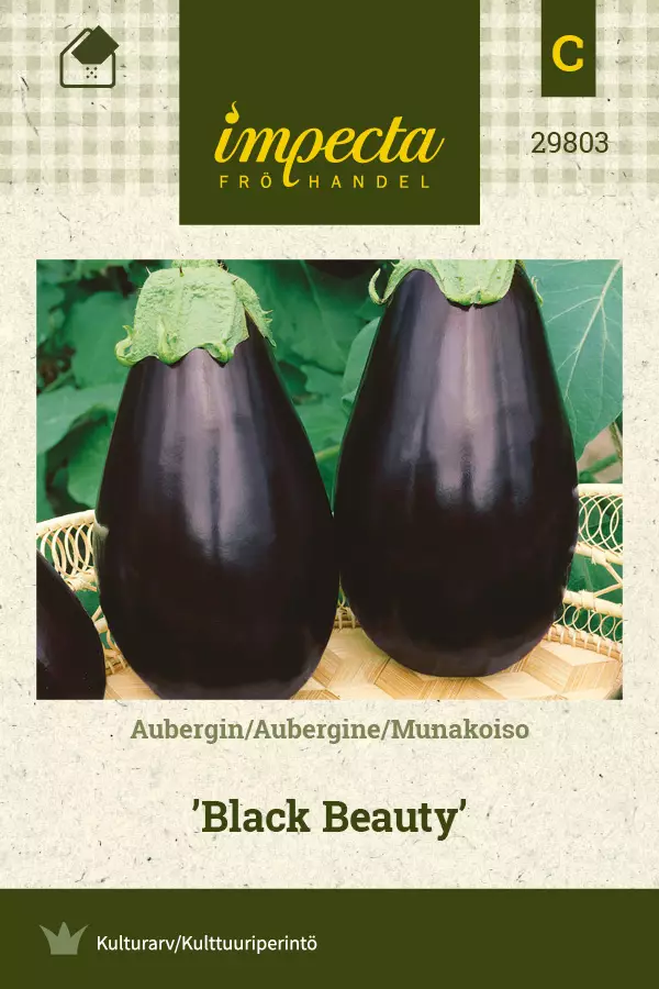 Munakoiso 'Black Beaty', siemen, Impecta - Annossiemenet - 7332756298039 - 1