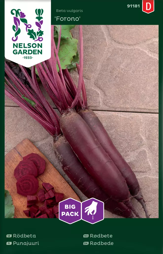 Pitkäpunajuuri 'Forono', Big Pack siemen, Nelson Garden - Vihannesten siemenet - 7312600911819 - 1