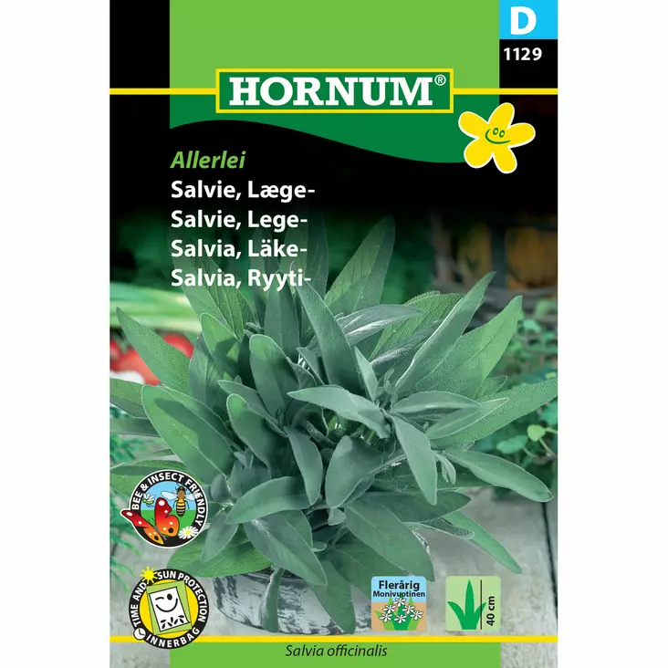 Ryytisalvia 'Allerlei' siemen Hornum - Annossiemenet - 5708787011299 - 1