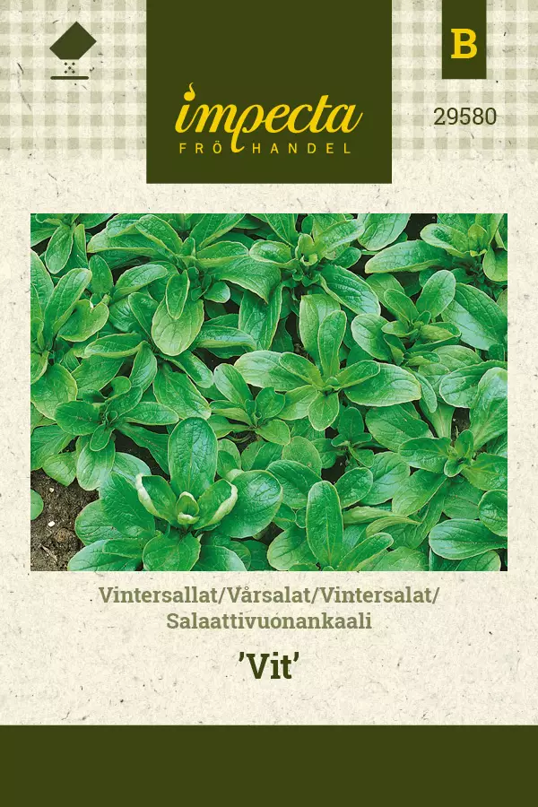 Salaattivuonankaali 'Vit', siemen, Impecta - Annossiemenet - 7332756295809 - 1