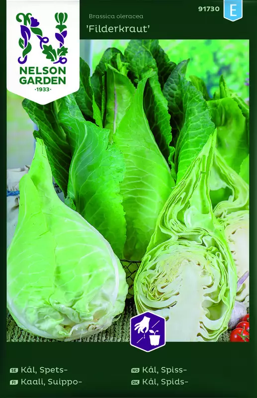 Suippokaali 'Filderkraut' siemen, Nelson Garden - Vihannesten siemenet - 7312600917309 - 1