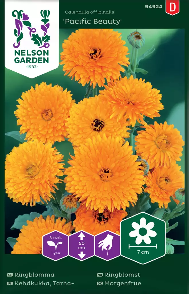 Tarhakehäkukka 'Pacific Beauty' siemen, Nelson Garden - Kukkien siemenet - 7312600949249 - 1