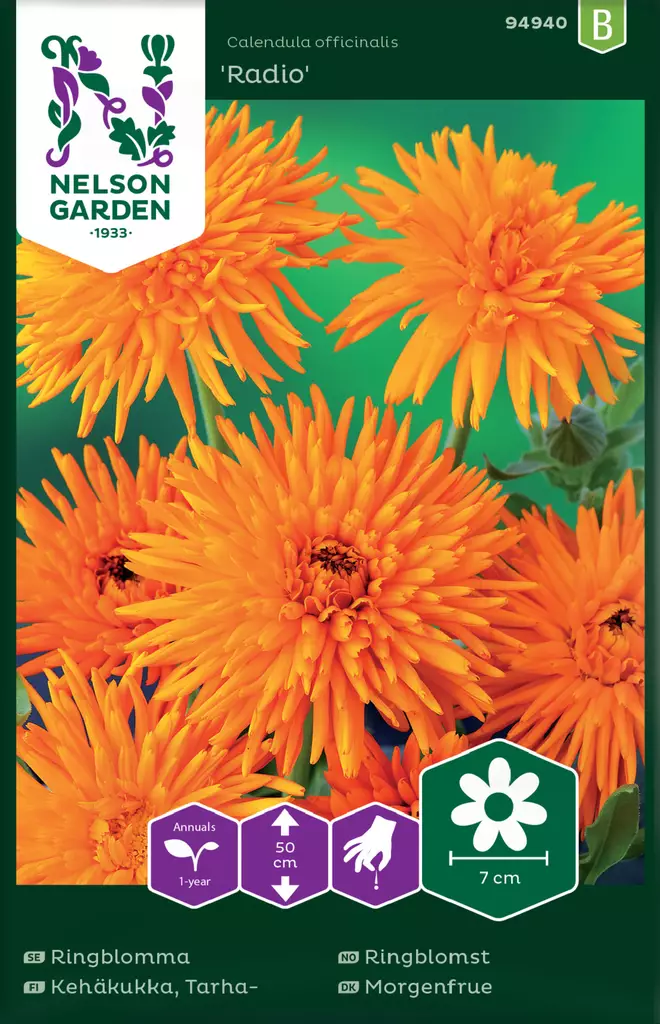 Tarhakehäkukka 'Radio' siemen, Nelson Garden - Kukkien siemenet - 7312600949409 - 1