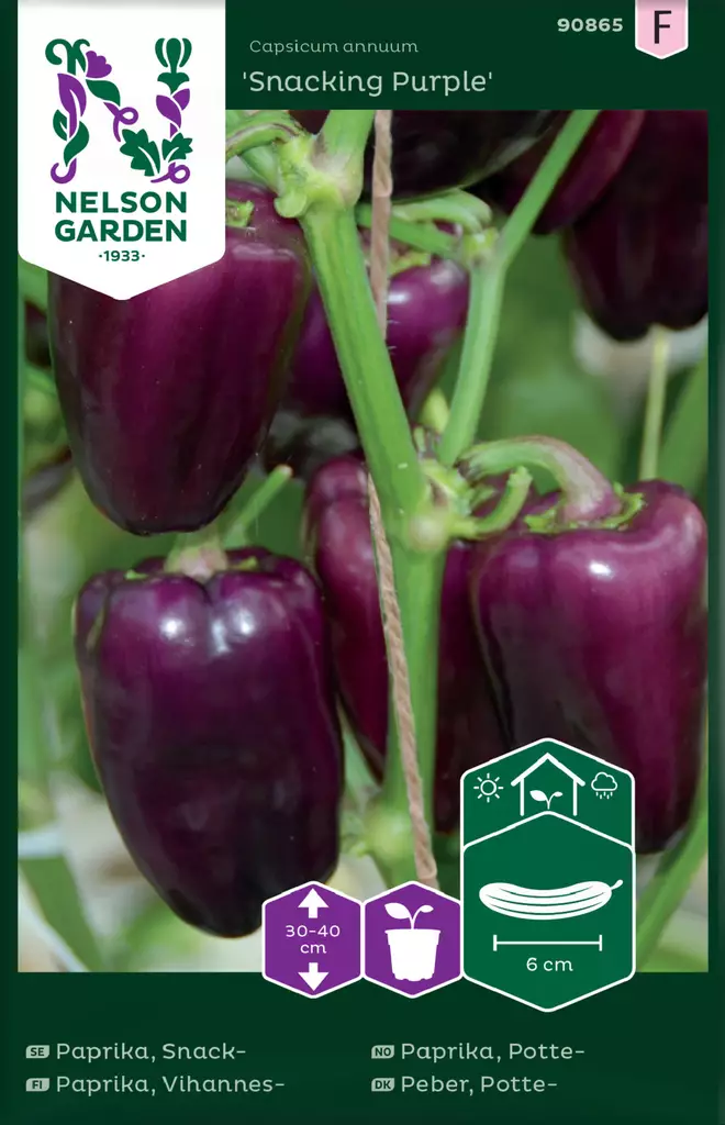 Vihannespaprika 'Snacking Purple' siemen, Nelson Garden - Vihannesten siemenet - 7312600908659 - 1
